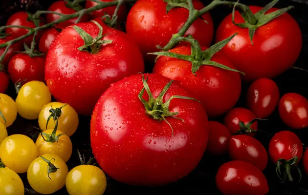 Ранні овочі: в Україні знижуються ціни на помідори